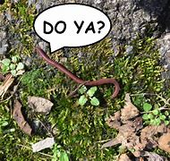 the smallest worm will turn, being trodden on